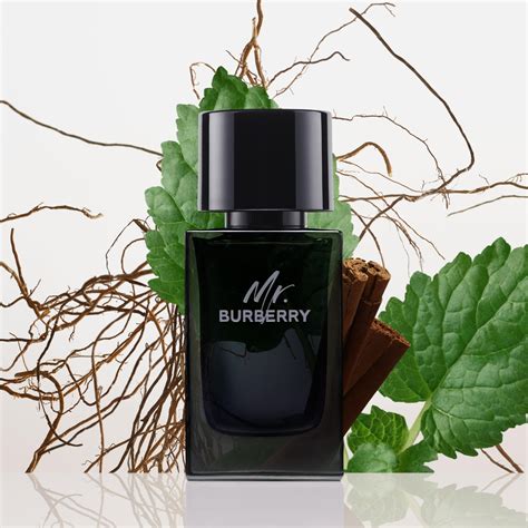 mr burberry piramide olfattiva|mr burberry eau de parfum.